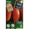 Protecta Graines De Légumes Et Aromatiques | - Graines paysannes - tomate andine cornue