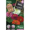 Protecta Graines De Légumes Et Aromatiques | - Graines paysannes - zinnia géant robusta