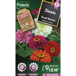 Protecta Graines De Légumes Et Aromatiques | - Graines paysannes - zinnia géant robusta
