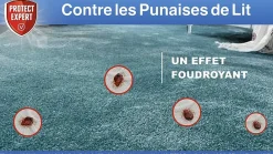 Protect Expert - Anti punaises de lit foudroyant - aérosol anti punaises de lit - diffusion automatique - action choc Sale