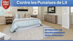 Protect Expert - Anti punaises de lit foudroyant - aérosol anti punaises de lit - diffusion automatique - action choc Sale