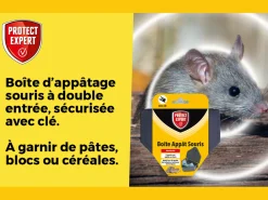 Protect Expert - Boitsou - boite appât souris - sécurisée avec clé de fermeture Best