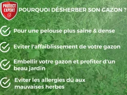 Protect Expert - 2 désherbants concentrés localisés contre les mauvaises herbes du gazon - 2x200ml - soit 176m² - non sélectif Best