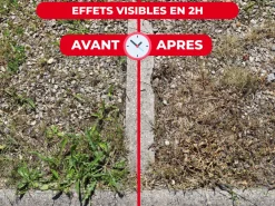 Protect Expert - désherbant ultra concentré - polyvalent - effets visibles sous 3h - 800ml - jusqu鈥² traités proherbiou800 Hot