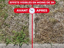 Protect Expert - désherbant ultra concentré - cours allées terrasses - agit sous 3h - 400ml - jusqu鈥² traités procouru400
