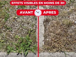 Protect Expert Traitement Et Pulvérisation | - désherbant ultra concentré - polyvalent - effets visibles sous 3h - 400ml - jusqu鈥² traités proherbiou400