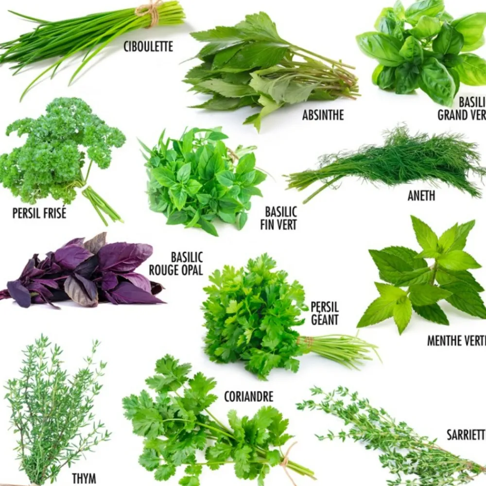 Radis Et Capucine Plants De Légumes Et Aromatiques | - Coffret 52 sachets de graines