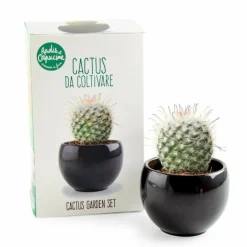 Radis Et Capucine Graines De Légumes Et Aromatiques | - Kit cactus