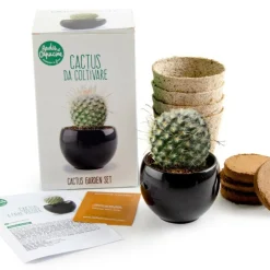 Radis Et Capucine Graines De Légumes Et Aromatiques | - Kit cactus
