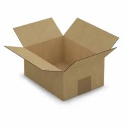 Raja Librairie Et Papeterie | - 5 cartons d'emballage 20 x 15 x 9 cm - simple cannelure