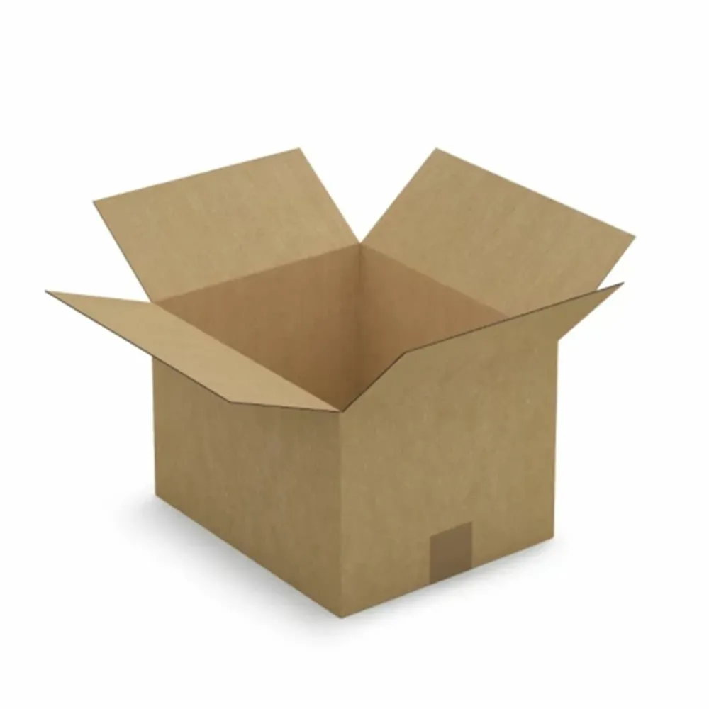 Raja - 15 cartons d'emballage 31 x 22 x 18 cm - simple cannelure