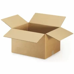 Raja Librairie Et Papeterie | - 15 cartons d'emballage 20 x 15 x 9 cm - simple cannelure