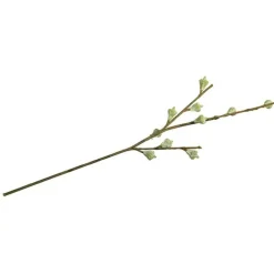 Rayher Décoration Créative | - Branche de fruits d'eucalyptus