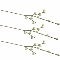 Rayher - 3 branches de fruits d'eucalyptus 40 cm New