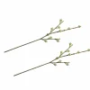 Rayher Décoration Créative | - 2 branches de fruits d'eucalyptus