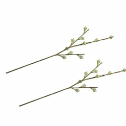 Rayher Décoration Créative | - 2 branches de fruits d'eucalyptus