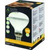 Reptile Systems - D3 UV Basking Lamp 100W culot E27