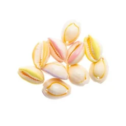 Rico Design Bijoux Et Perles | - 10 perles - coquillages pastel - 2 perforations