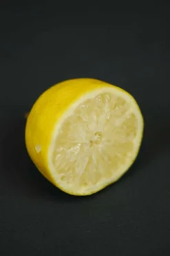 Roué Pépinières ROUÉ PÉPINIÈRES - Citronnier des 4 saisons - en pot de 5 litres Hot