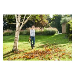 Ryobi Broyeurs, Nettoyeurs Et Souffleurs | - Souffleur sur batterie one+ rbl1820s40f 18 v
