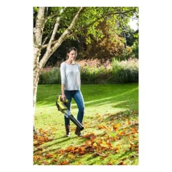Ryobi Broyeurs, Nettoyeurs Et Souffleurs | - Souffleur 18v turbo jet - vitesse max. Soufflerie 160 km/h - 1 batterie lithium+ 18v 4,0 ah et 1 chargeur rapide 2,0 a