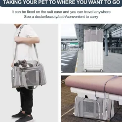 NA Paniers, Transports Et Chatières | Sac à dos de chat portable et pliable pour sorties taille l downypaws