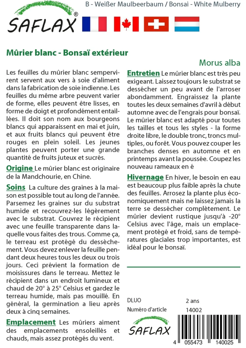 Saflax - Mûrier blanc - 200 graines - morus alba