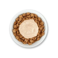 Schesir - Friandises stix saumon - chat 6x15 g Clearance