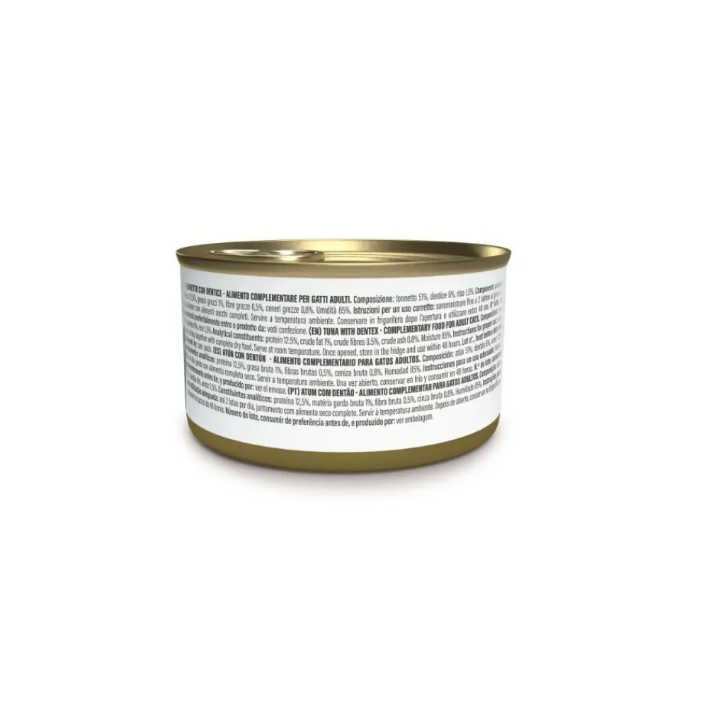 Schesir - Gelee thon/dente chat 70 g Best