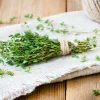Serres Desrumaux Plants De Légumes Et Aromatiques | - Plant thym commun pépinière pot 1,5l