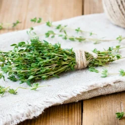 Serres Desrumaux Plants De Légumes Et Aromatiques | - Plant thym commun pépinière pot 1,5l