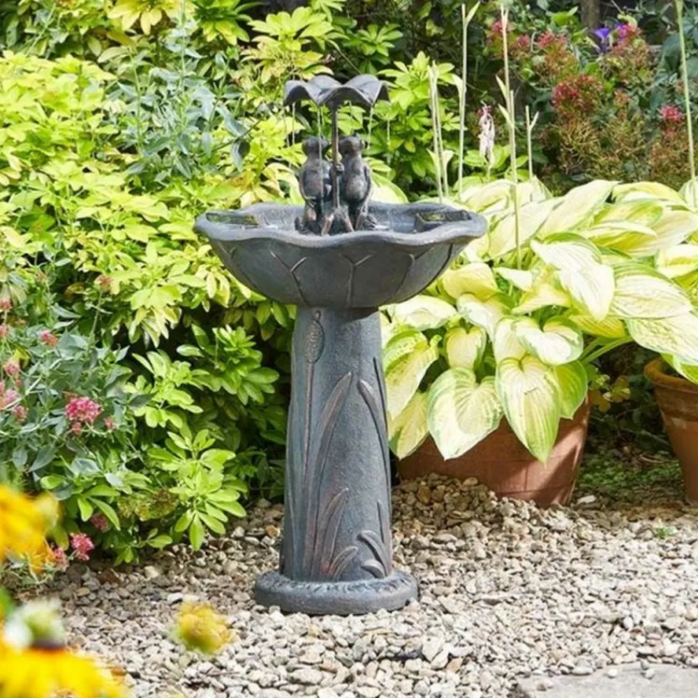 Smart Garden - Fontaine solaire bain d'oiseaux duo de grenouilles Outlet