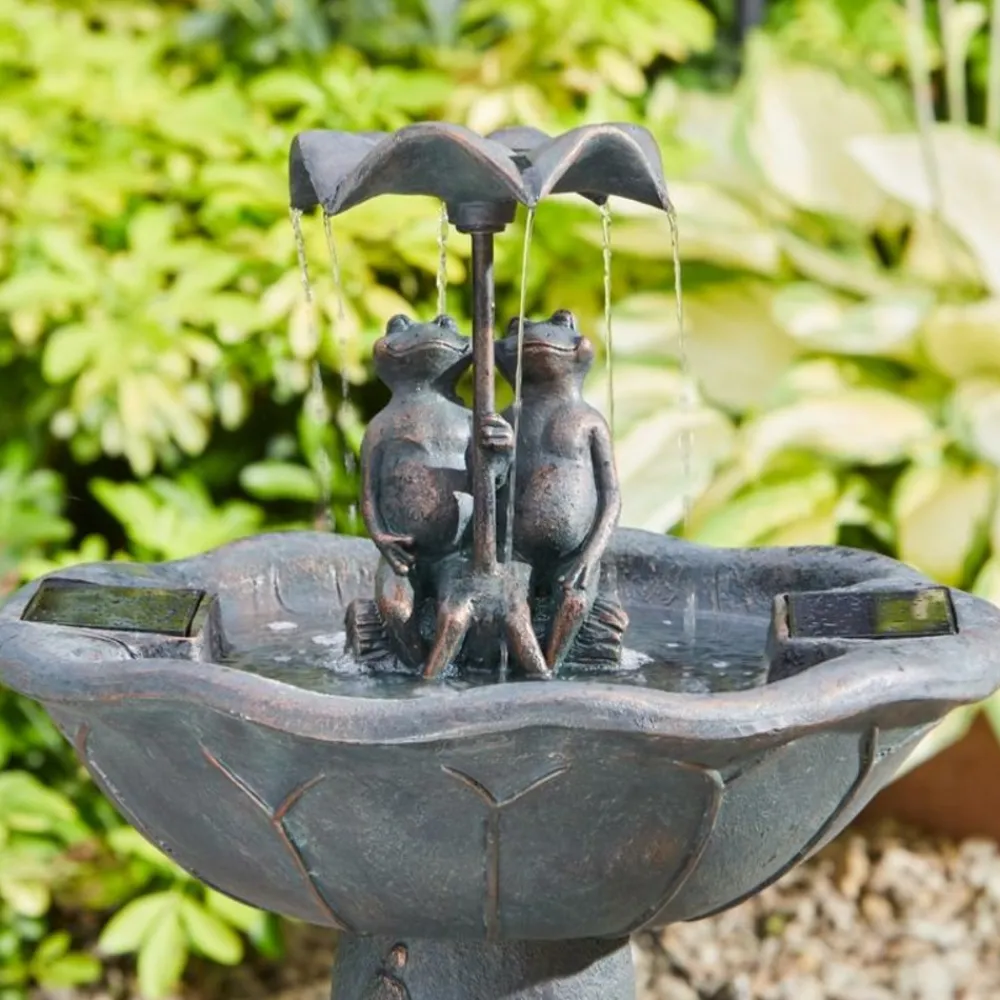 Smart Garden - Fontaine solaire bain d'oiseaux duo de grenouilles Outlet