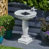 Smart Garden - Fontaine solaire bain d'oiseaux aspect pierre Outlet