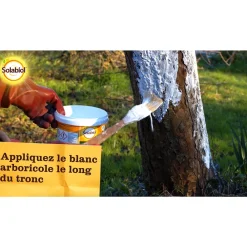 Solabiol - Blanc arboricole 3 litres Discount