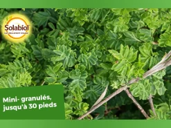 Solabiol - Engrais coniferes 1.5kg /nc - socony15 Discount