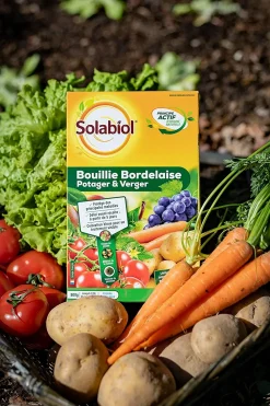 Solabiol Traitement Et Pulvérisation | - Sobb20800x2 - bouillie bordelaise - 2x800g - traitement mildiou - tavelure cloque - utilisable en agriculture biologique
