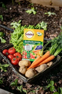Solabiol Traitement Et Pulvérisation | - Sobb20800x2 - bouillie bordelaise - 2x800g - traitement mildiou - tavelure cloque - utilisable en agriculture biologique