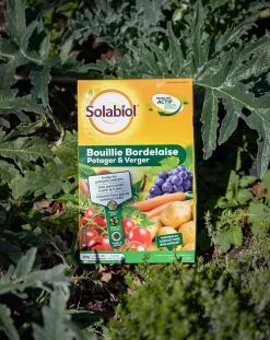 Solabiol Traitement Et Pulvérisation | - Sobb20800x2 - bouillie bordelaise - 2x800g - traitement mildiou - tavelure cloque - utilisable en agriculture biologique