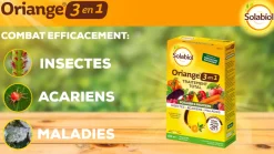 Solabiol Traitement Et Pulvérisation | - anti-limaces 750g + traitement oriange 3 en 1 - insectes acar
