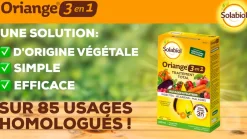 Solabiol Traitement Et Pulvérisation | - anti-limaces 750g + traitement oriange 3 en 1 - insectes acar