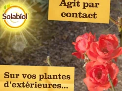 Solabiol - anti pucerons plantes ornementales & cultures- 2x750ml- action rapide - sopolypal750nx2 Outlet