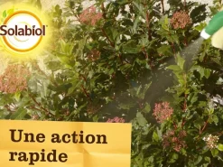 Solabiol - anti pucerons plantes ornementales & cultures- 2x750ml- action rapide - sopolypal750nx2 Outlet