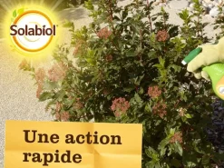 Solabiol Traitement Et Pulvérisation | - anti pucerons plantes ornementales & cultures - 2x750ml - prêt à l'emploi sopucpal750nx2
