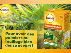 Solabiol - Sopalmy15 - engrais palmiers et plantes méditerranéennes - 1,5 kg - utilisable en agriculture biologique Online