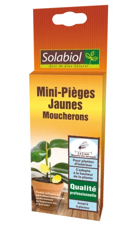 Solabiol - Sopiflor - mini-pièges jaunes moucherons discret pour plantes d'intérieur New