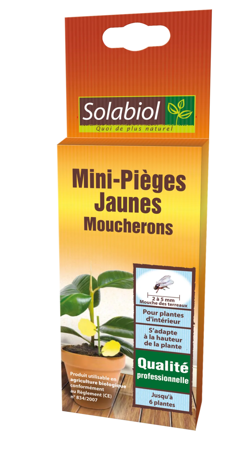 Solabiol - Sopiflor - mini-pièges jaunes moucherons discret pour plantes d'intérieur New