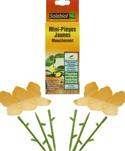 Solabiol - Sopiflor - mini-pièges jaunes moucherons discret pour plantes d'intérieur New