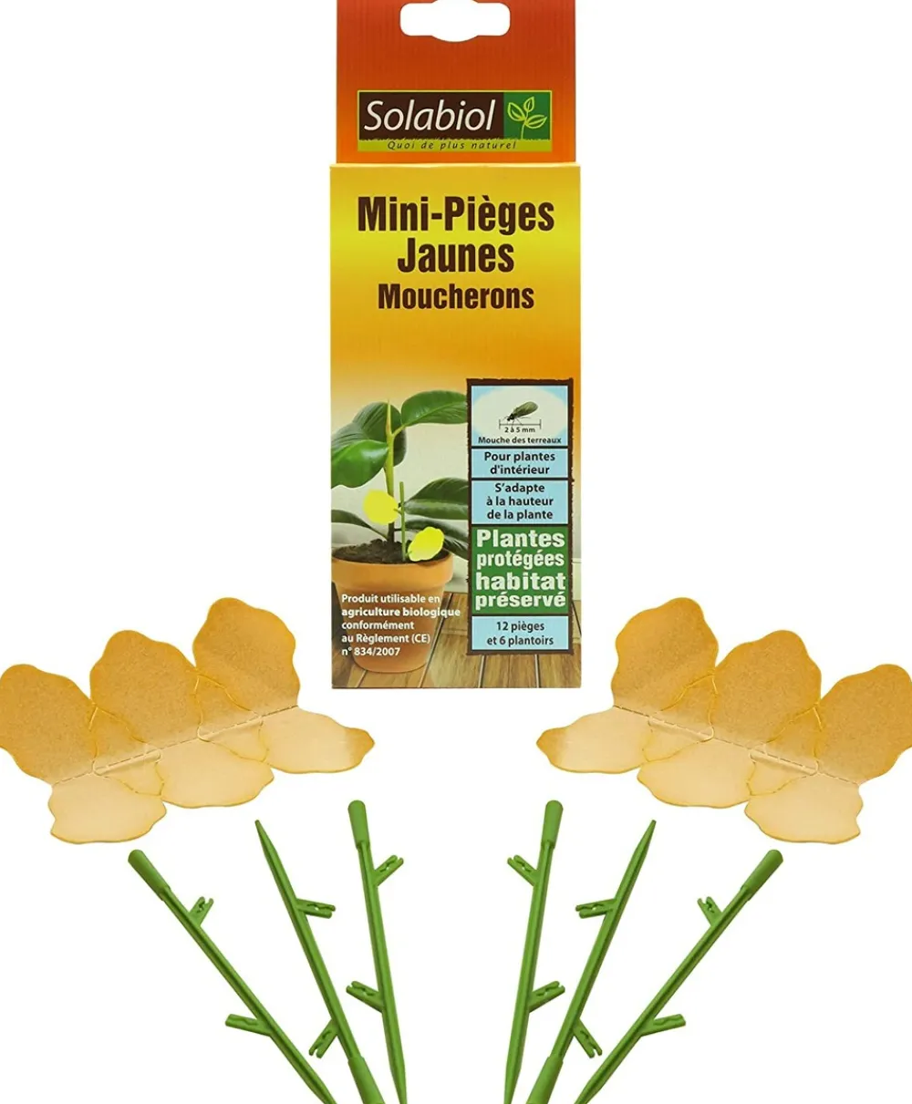 Solabiol - Sopiflor - mini-pièges jaunes moucherons discret pour plantes d'intérieur New