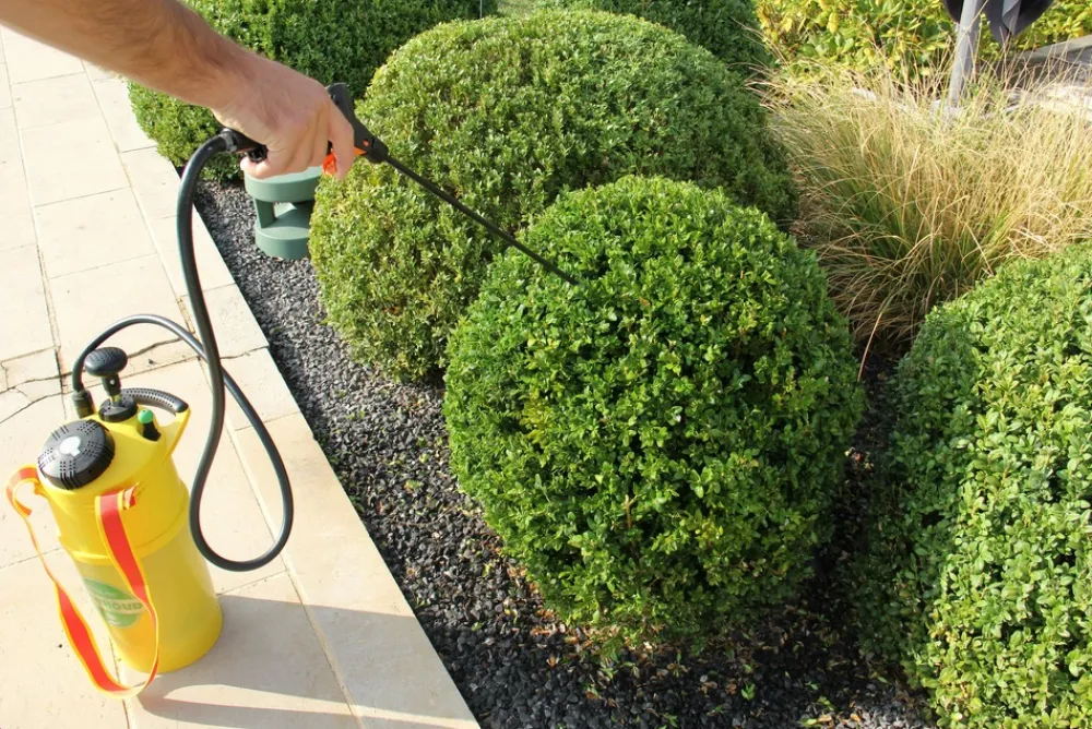 Solabiol - Sopiflor - mini-pièges jaunes moucherons discret pour plantes d'intérieur New